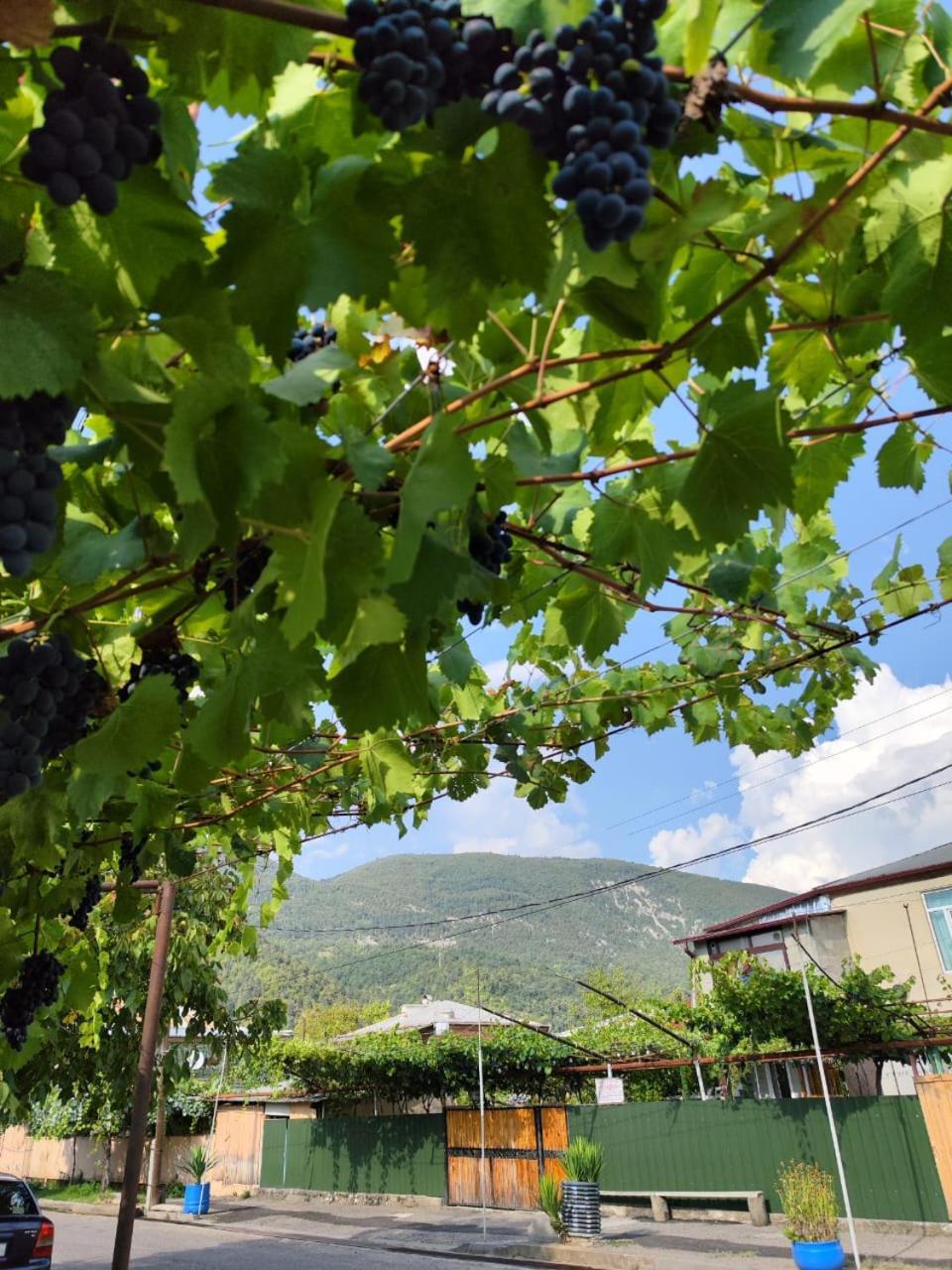 Chveni Ezo Hotel Ambrolauri Bagian luar foto