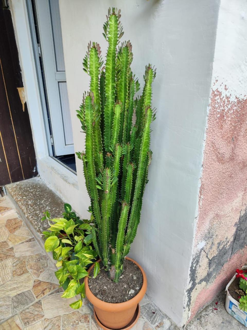 Chveni Ezo Hotel Ambrolauri Bagian luar foto
