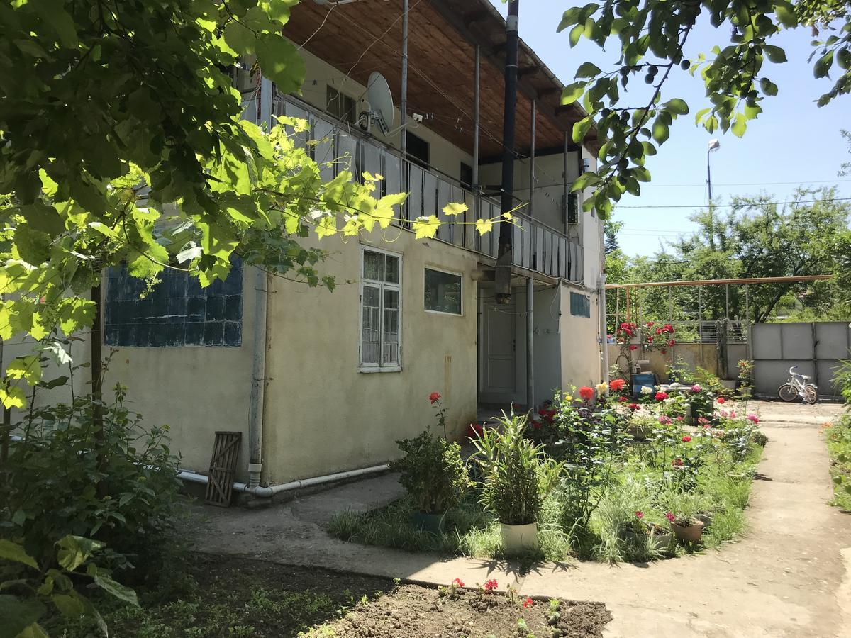 Chveni Ezo Hotel Ambrolauri Bagian luar foto